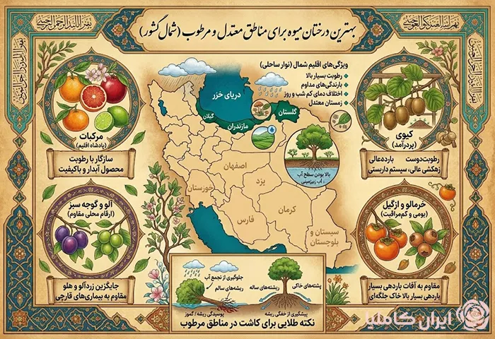 بهترین درخت میوه برای مناطق سردسیر و گرمسیر
